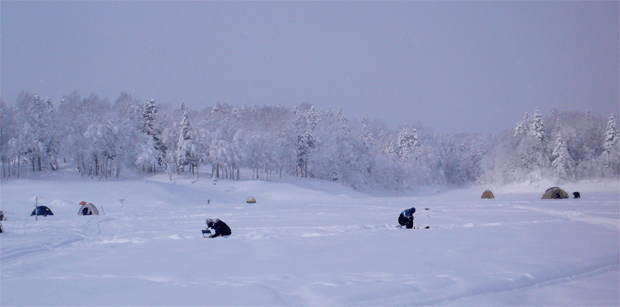 f0163063_15445125.gif