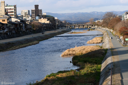 b0139477_39512.jpg