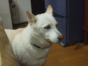 f0005081_90979.jpg
