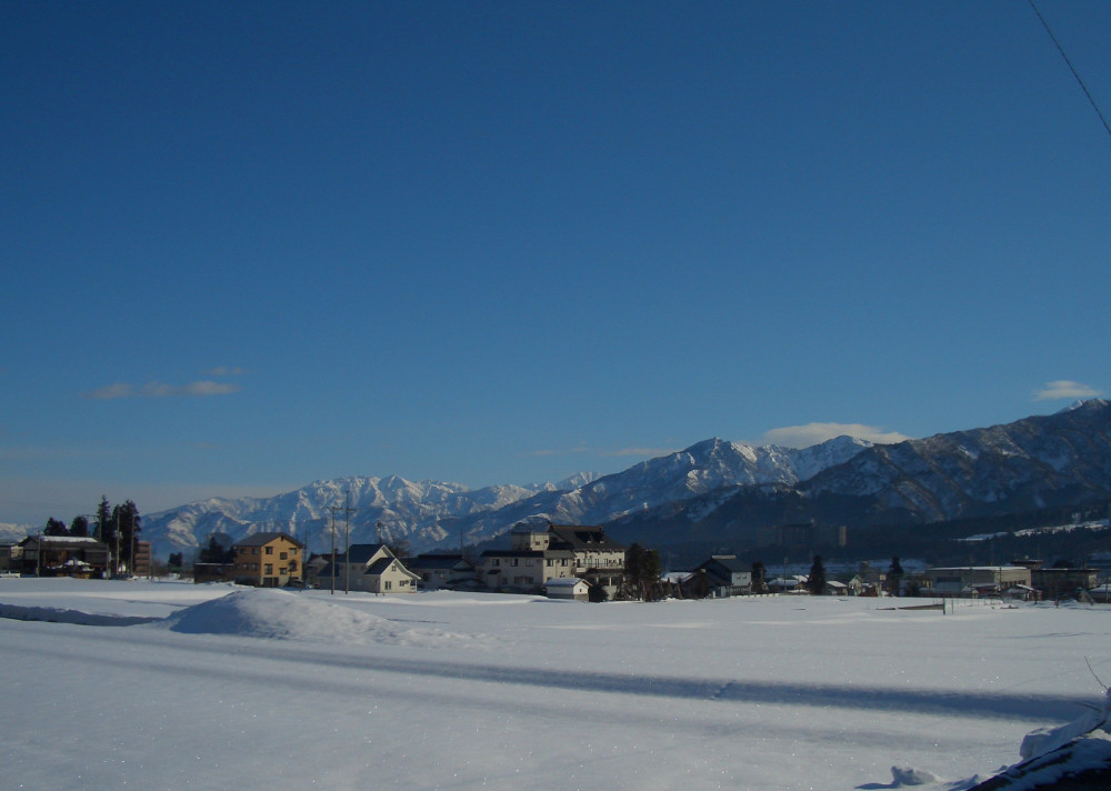 c0040891_20255880.jpg