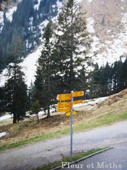 c0160207_11321954.jpg