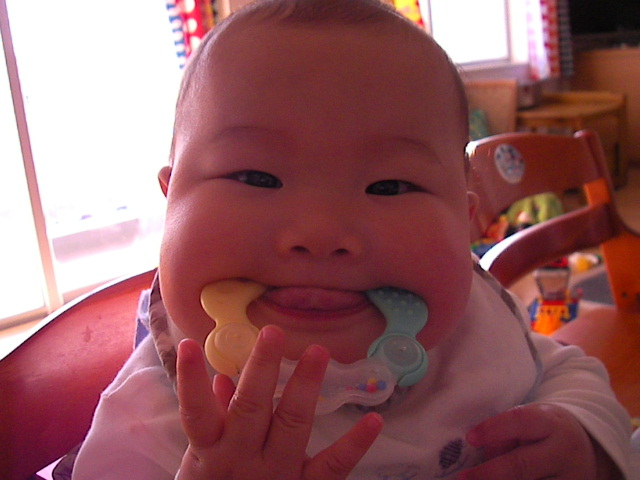 f0038407_1639488.jpg