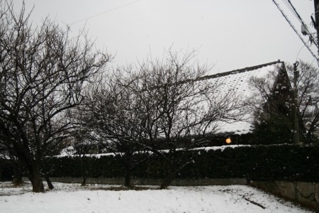 雪の舎_e0029115_16595696.jpg