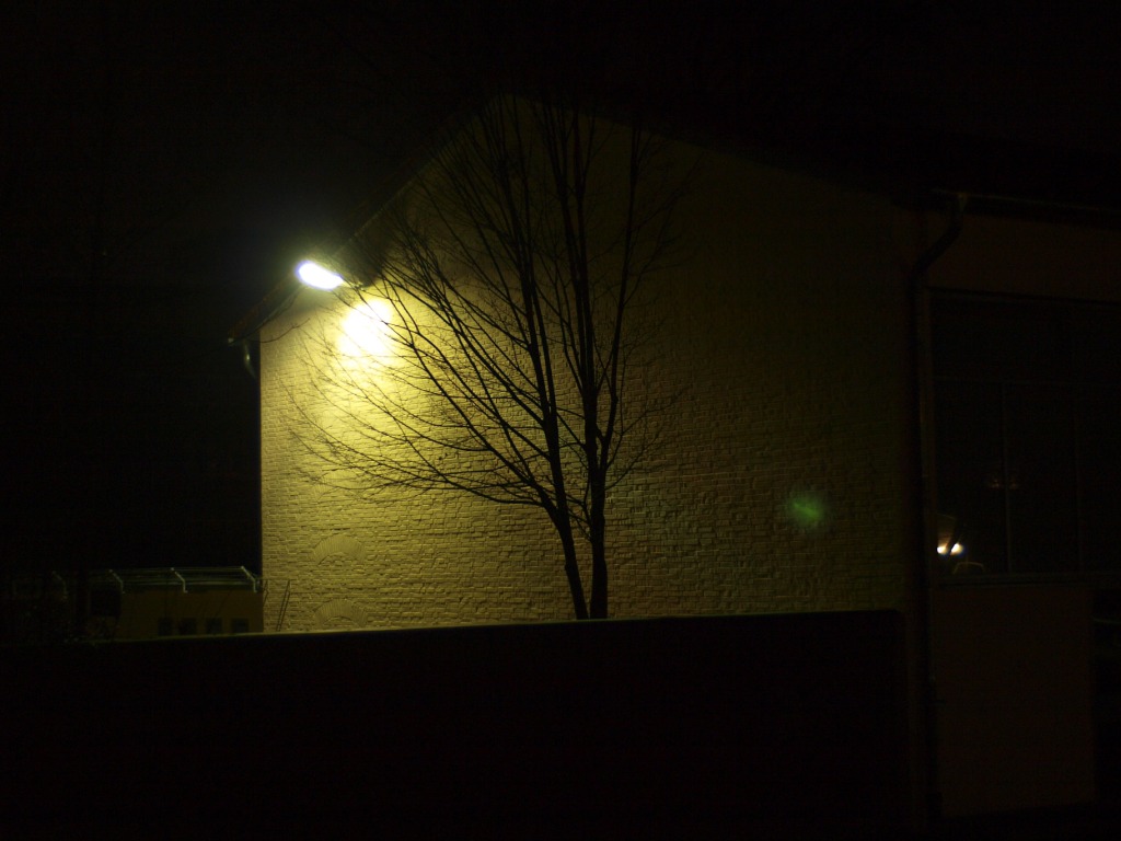 b0148617_152264.jpg