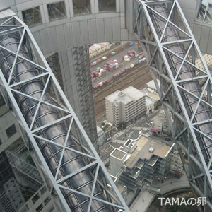c0024729_21535444.jpg