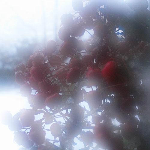 c0067040_2216587.jpg