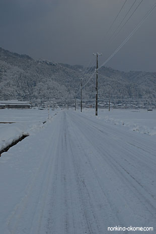 c0145453_8462880.jpg