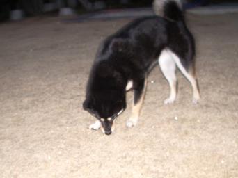 f0034156_2292222.jpg
