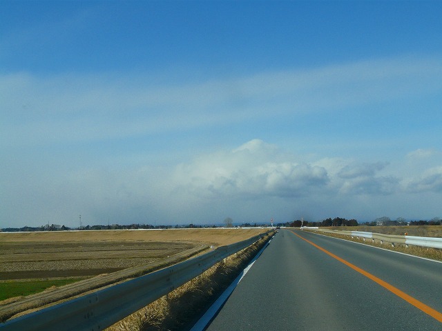 d0041158_2041534.jpg