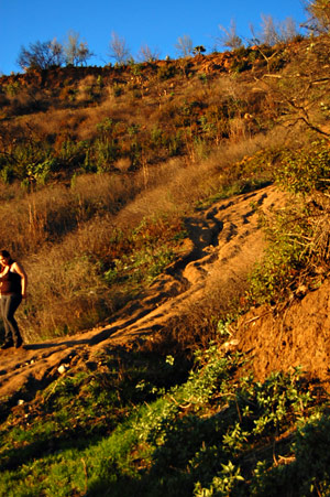 Griffith Park Trail*_f0180662_053966.jpg