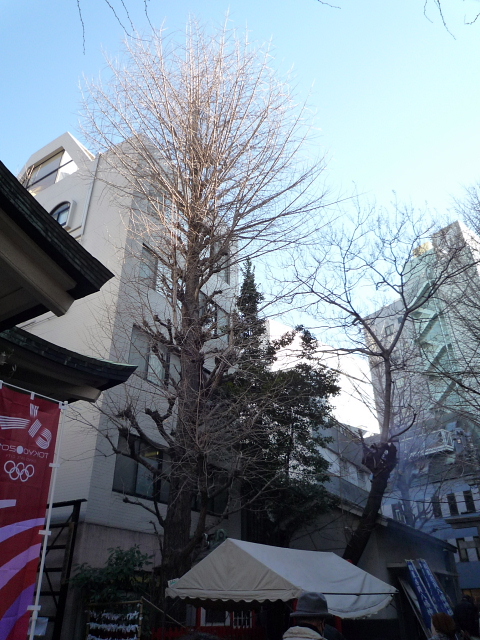 b0053765_20385659.jpg