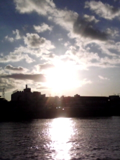 d0109877_05237.jpg