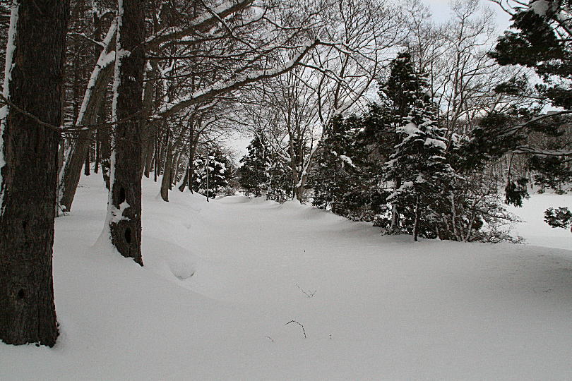c0112479_20338.jpg