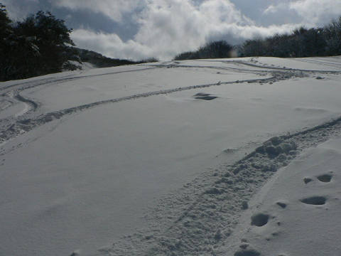 オフピステで遊ぶ(十種ヶ峰）_f0082181_2182242.jpg