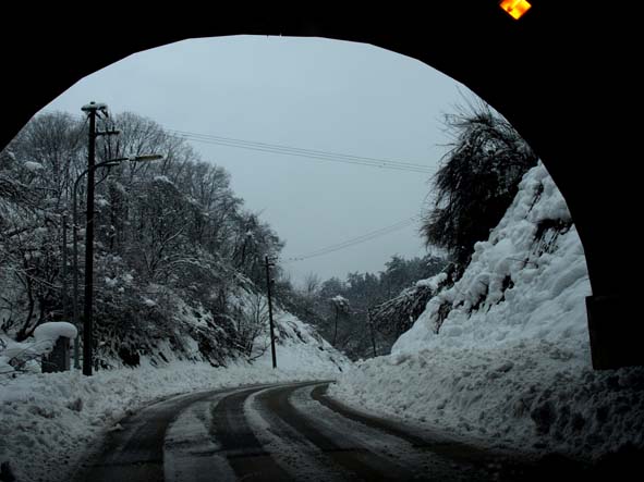 本格的な積雪・こんな日は・・・_d0088788_10231886.jpg