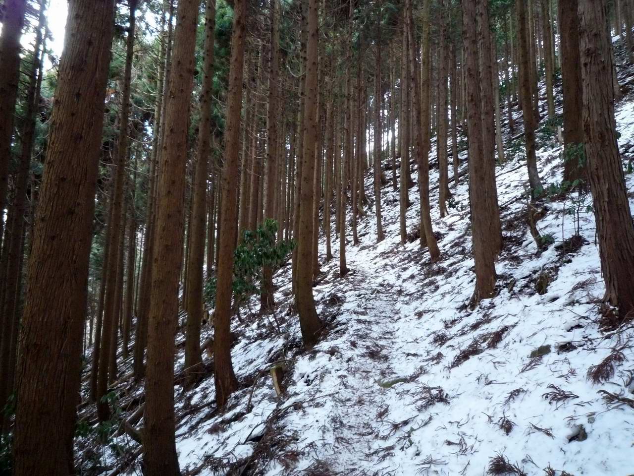 綿向山からイハイガ岳、そして竜王山周回_e0110500_22562270.jpg