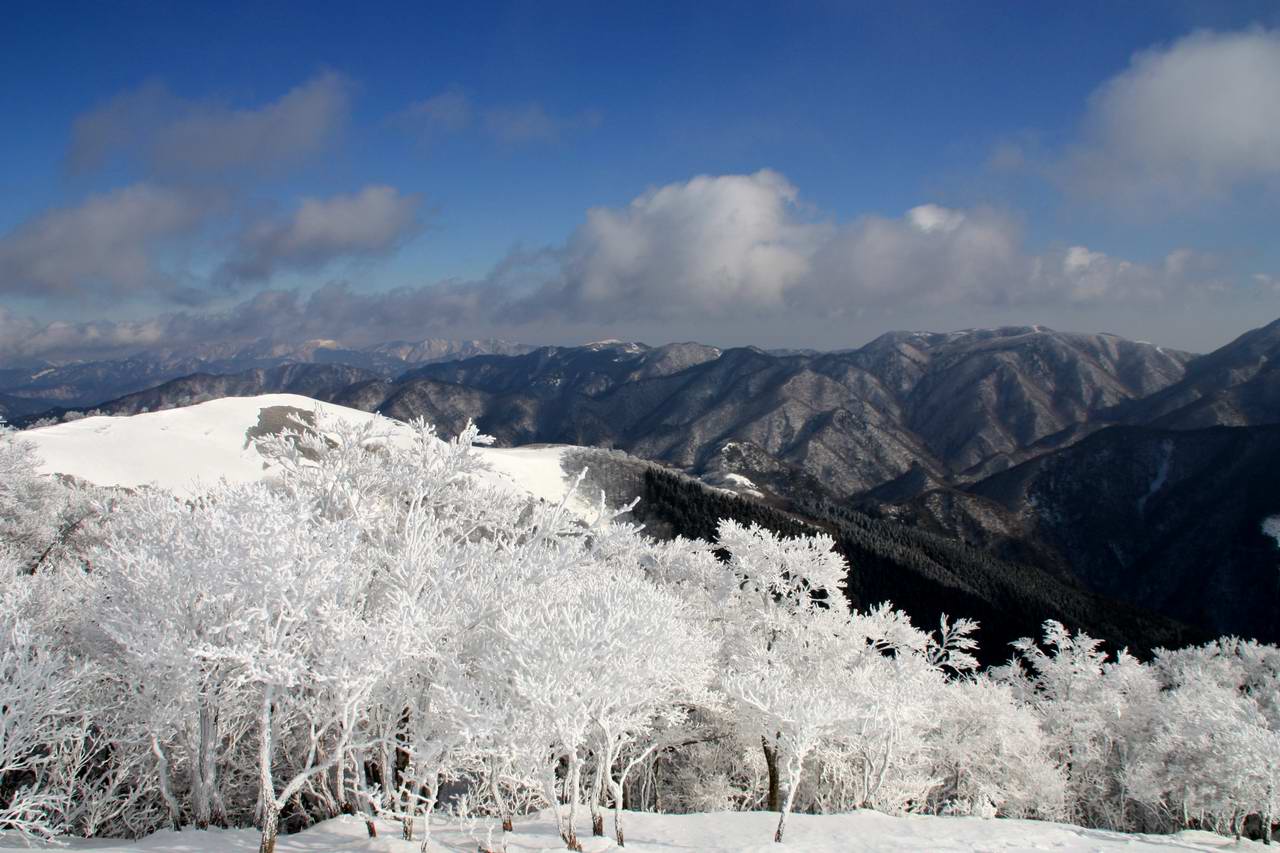 綿向山からイハイガ岳、そして竜王山周回_e0110500_2340664.jpg