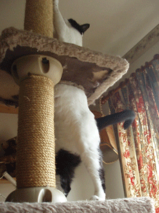 c0129702_16283722.gif