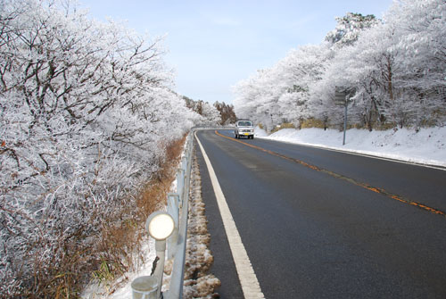 b0014607_1431699.jpg