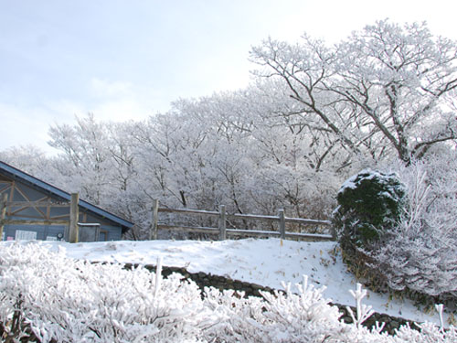 b0014607_1433614.jpg