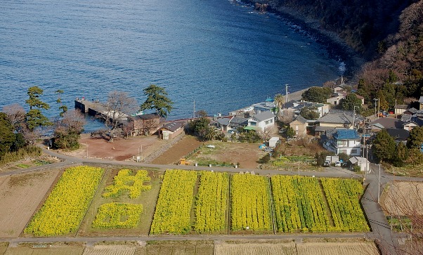 c0097309_8195046.jpg
