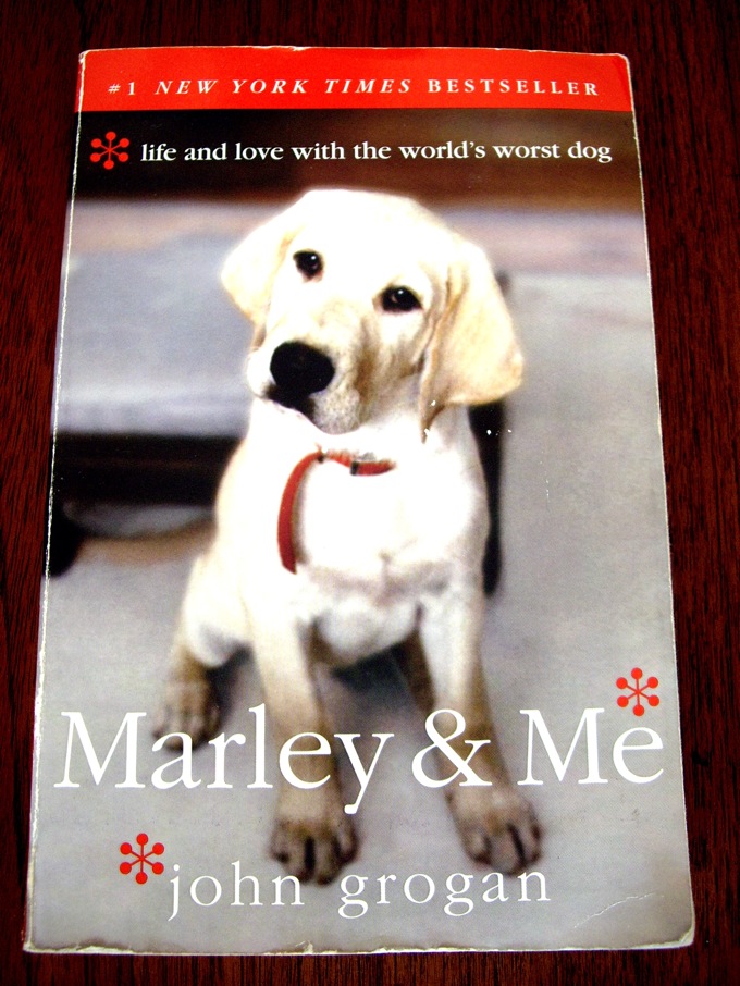 かわいい犬の映画、Marley&Me_a0112911_3344836.jpg