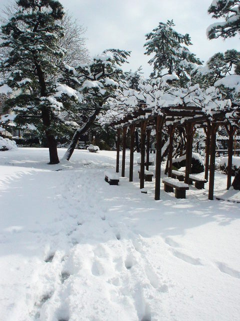 今日は晴れました_d0039111_1155174.jpg