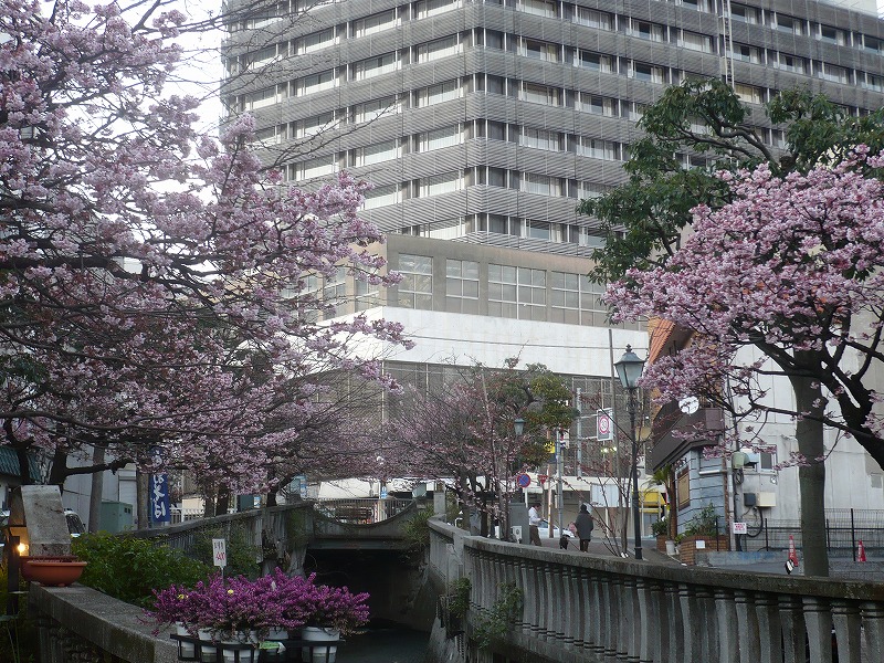 f0182513_20213854.jpg