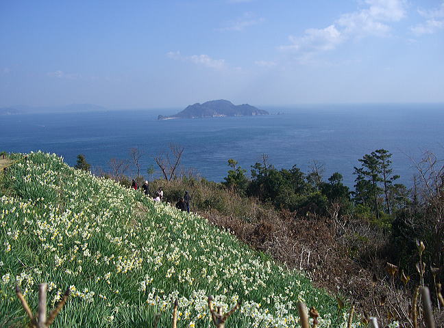 d0070316_162845.jpg
