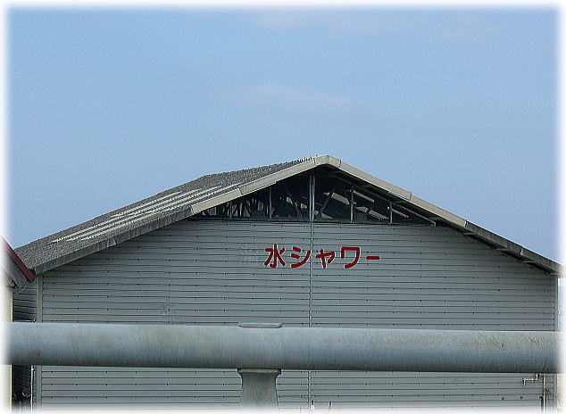 d0070316_2056374.jpg