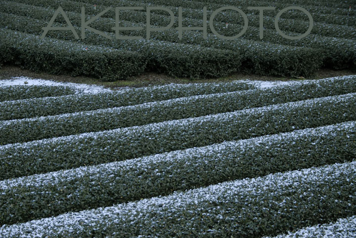パウダーシュガーみたいな雪_e0127416_23294765.jpg