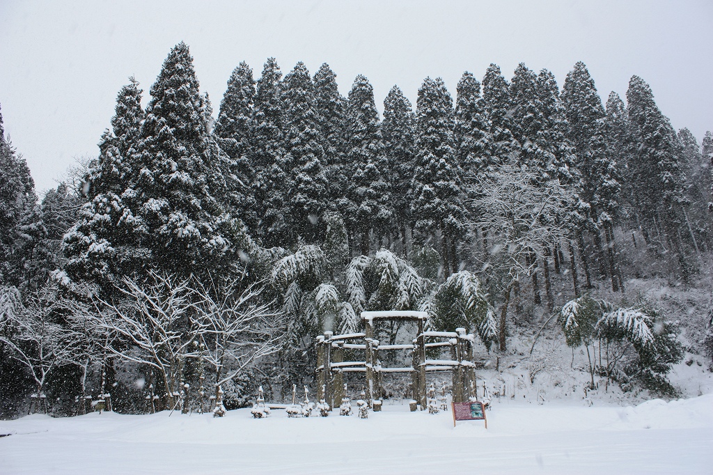 雪の遺跡 原始人もビックリ 09年1月28日 あおりいかのブログ 雪の遺跡 原始人もビックリ 09年1月28日 あおりいかのブログ