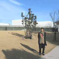 d0033734_17132657.gif