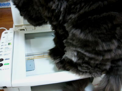 元気です_d0152937_20423752.jpg
