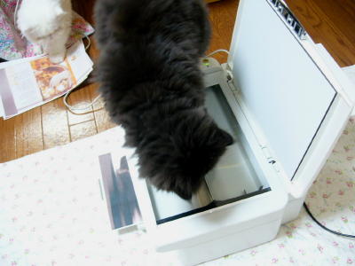 元気です_d0152937_20433699.jpg