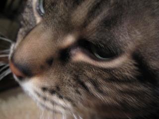 e0113040_22113173.jpg