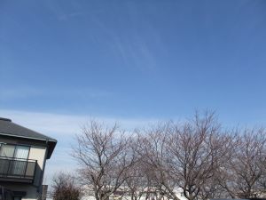 テレビ前がにぎやか (神の雫)_e0080345_88716.jpg