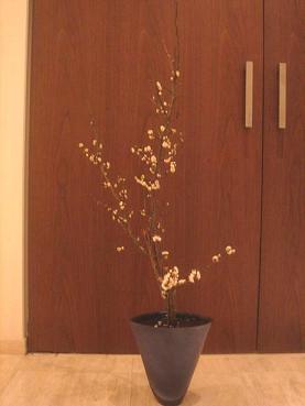お花を生ける_c0187754_11205144.jpg