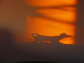 e0004756_2046931.jpg