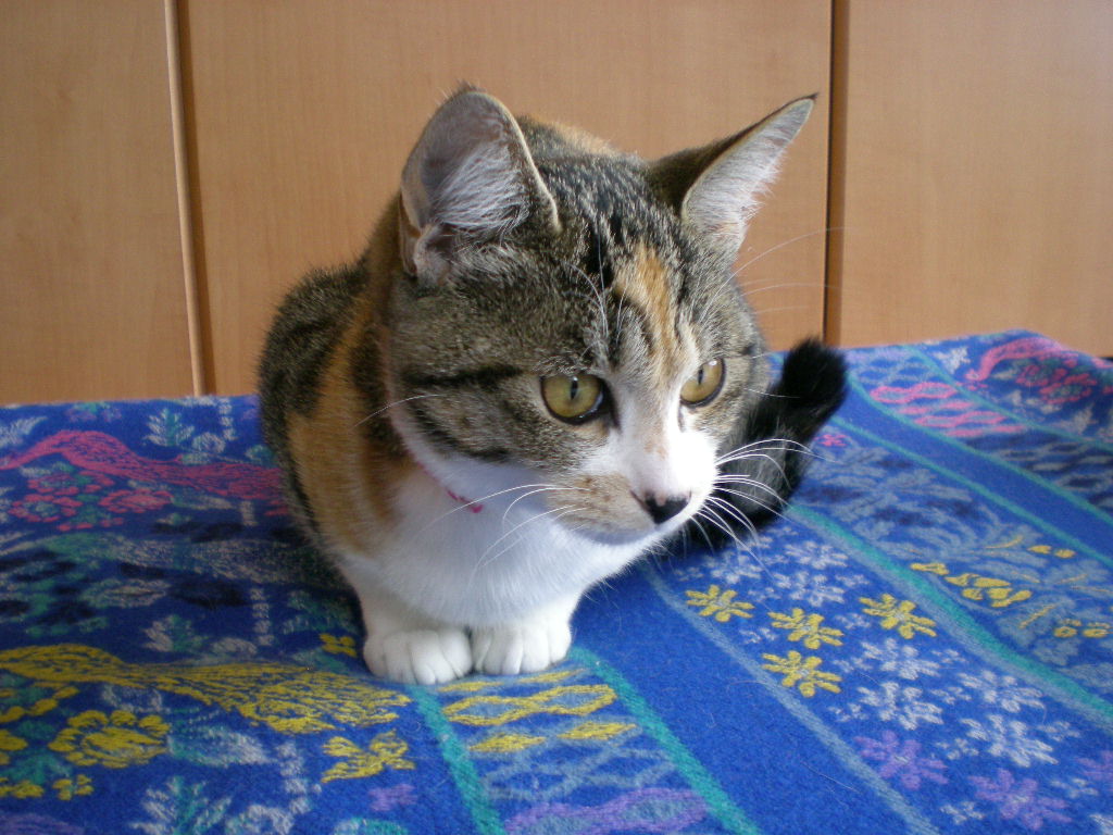 2009年1月28日(水)寒い日にはそれぞれに・・・!_f0060461_1550442.jpg