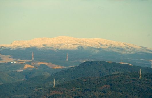 d0102968_71398.jpg