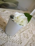 c0148270_19114796.jpg