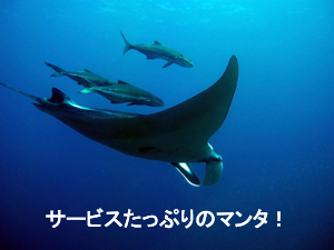 あ~~マンタでお腹一杯☆コ・ボン☆_f0144385_2314557.jpg