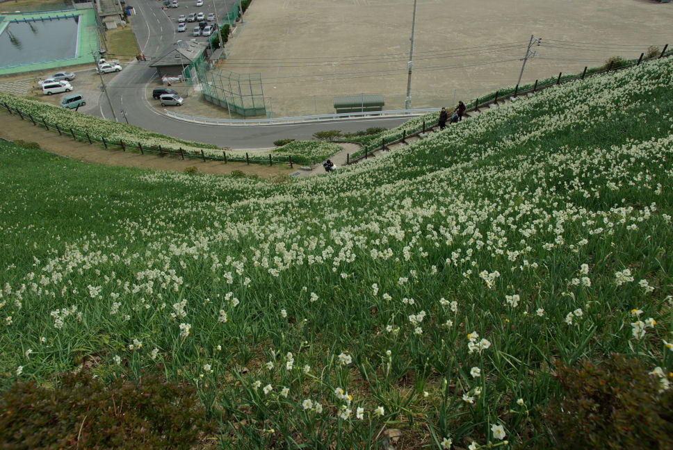 c0152288_3402735.jpg