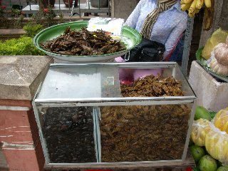 虫食_d0113490_0584241.jpg
