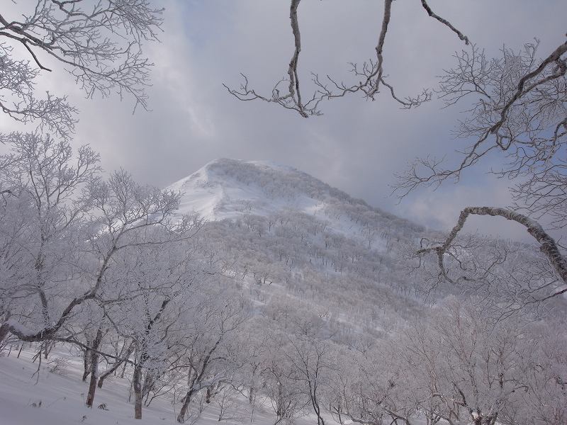 1月27日、白老岳その2－写真編－_f0138096_12123075.jpg