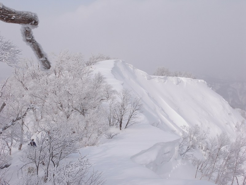 1月27日、白老岳その2－写真編－_f0138096_12144949.jpg