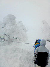 [FAFski09ZAO]１日め(updated : 20090202)_c0044700_21431278.jpg