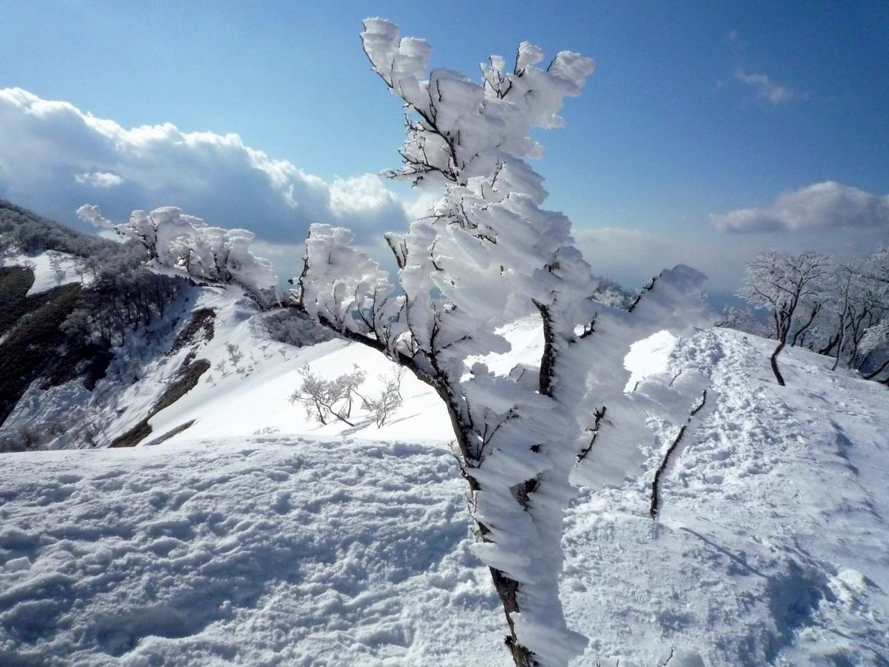 綿向山からイハイガ岳、そして竜王山周回_e0110500_0442684.jpg