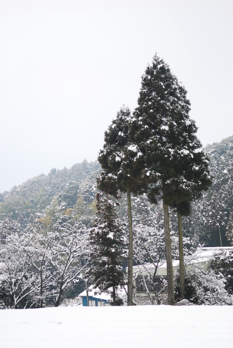 明日の朝ズバに武雄市が_d0047811_18663.jpg